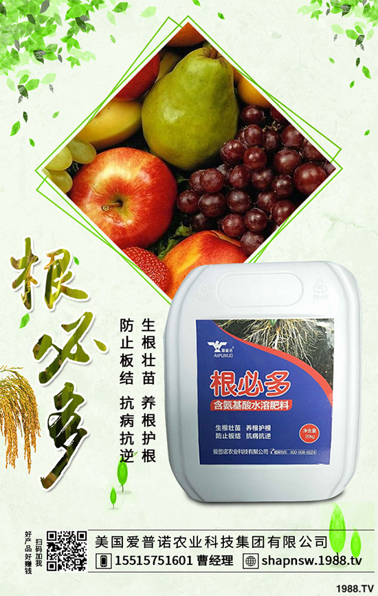 茄子怎么管理才能高產(chǎn)？茄子高產(chǎn)七大管理措施