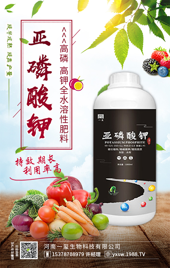 黃瓜畸形有哪幾種？黃瓜尖嘴瓜發(fā)生原因及預(yù)防措施！