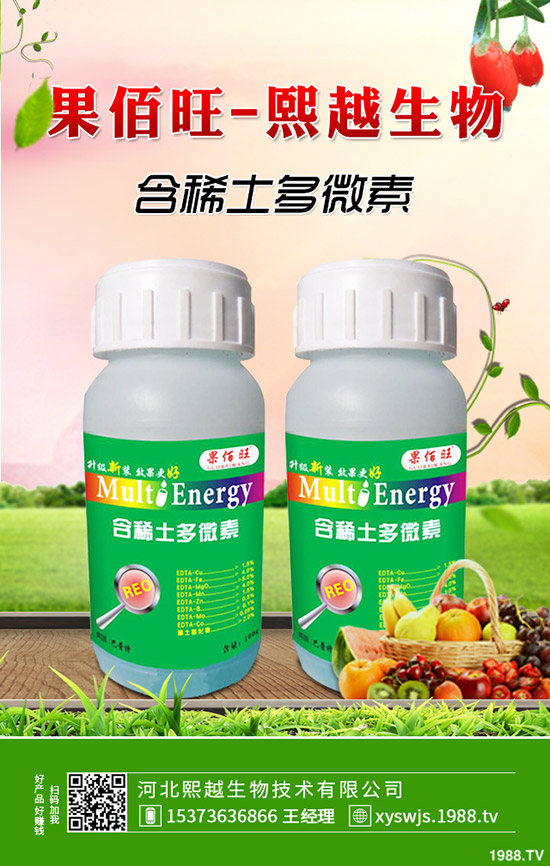 萵筍什么時(shí)候種植，萵筍種植要點(diǎn)有哪些？