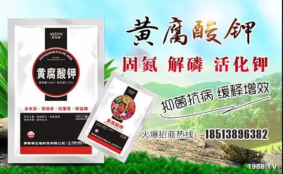 礦源黃腐酸鉀——精品肥！1公斤=8噸有機(jī)肥！新疆源頭直發(fā)?。?！