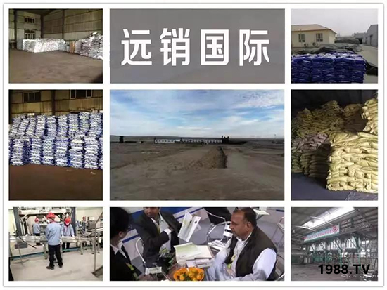 礦源黃腐酸鉀——精品肥！1公斤=8噸有機(jī)肥！新疆源頭直發(fā)?。?！