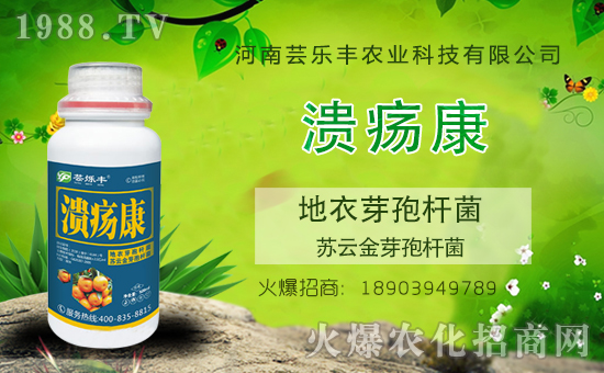 �����|���S�ɹ����v1988.TV���_���r(n��ng)�Y�N����������