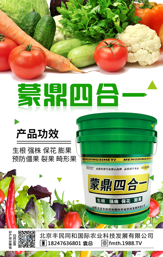 北京豐民同和國(guó)際農(nóng)業(yè)科技發(fā)展有限公司1