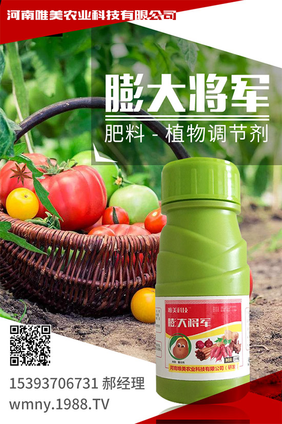 吃西柚有什么好處？挑選西柚的小技巧！