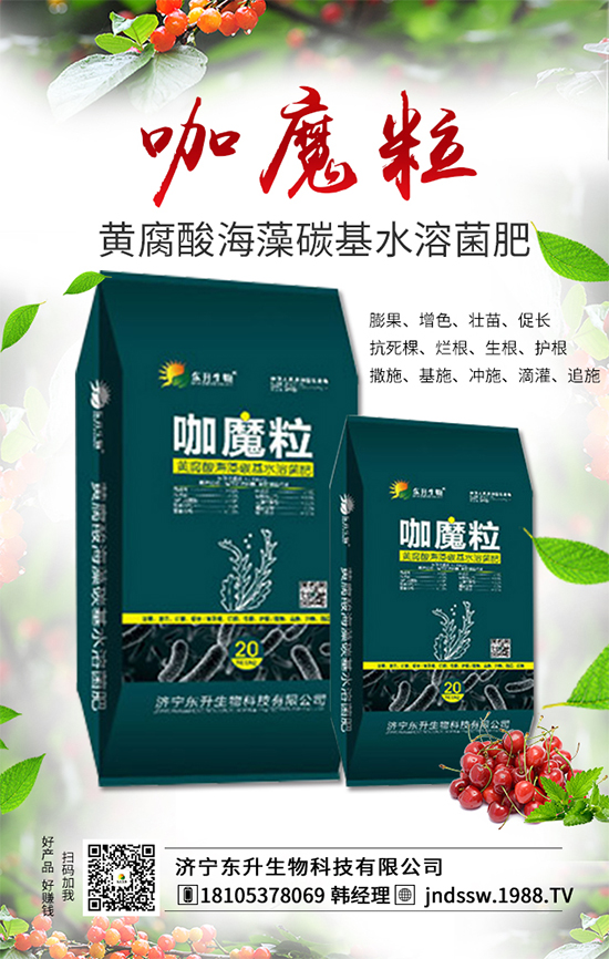 大棚草莓旺長(zhǎng)的原因，大棚草莓旺長(zhǎng)解決措施