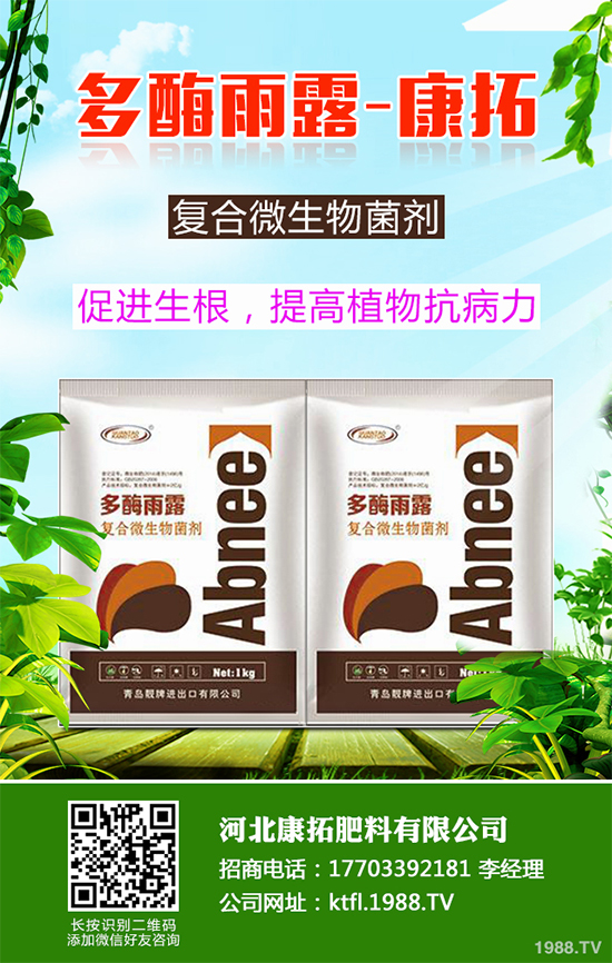 11月份農(nóng)事安排有哪些？2019秋冬蔬菜種植指南