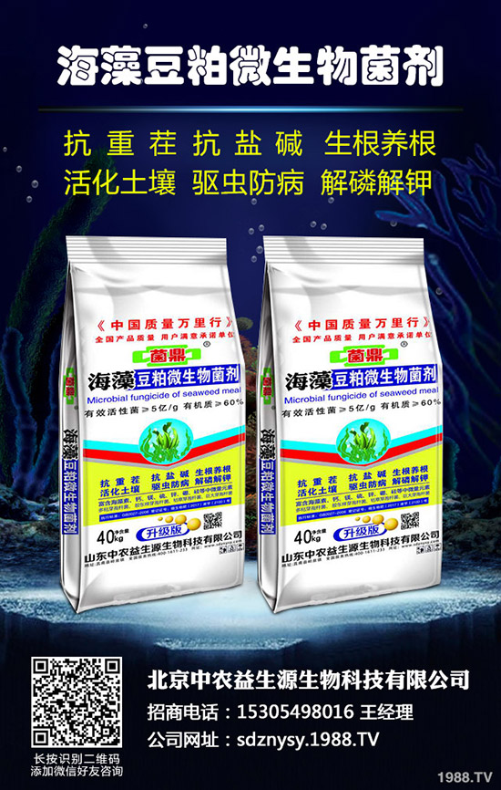 2020年水稻種植怎么樣？賺錢嗎？包多少畝合適？一畝種植成本多少？