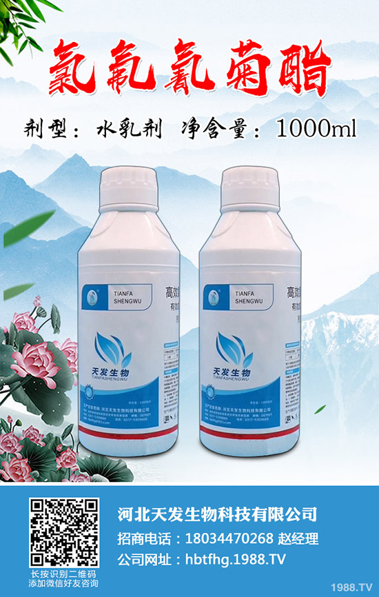 小麥吸漿蟲危害有多大？小麥吸漿蟲防控技術(shù)！