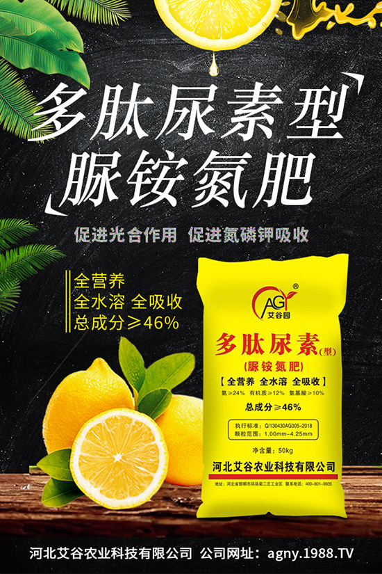 山藥種植時間，山藥種植技術(shù)與栽培管理