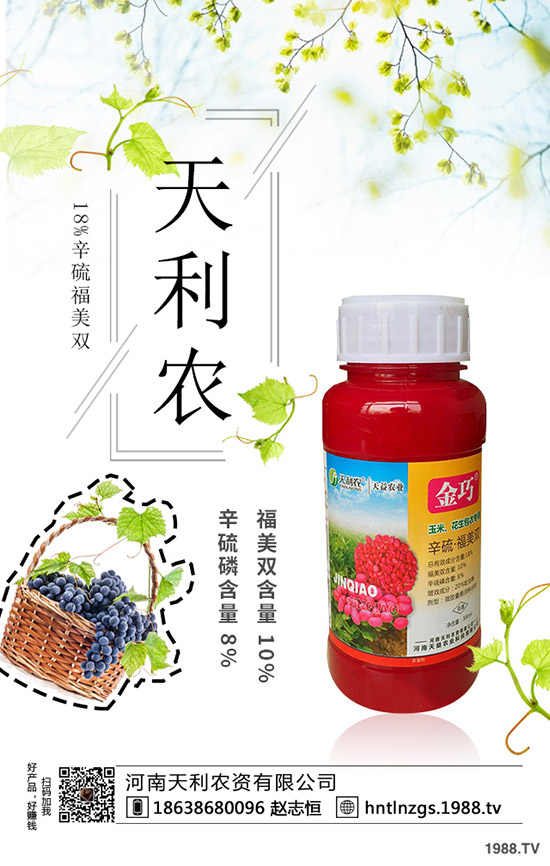 冬棗縮果病是咋回事？冬棗縮果病發(fā)病癥狀、原因和防治措施！