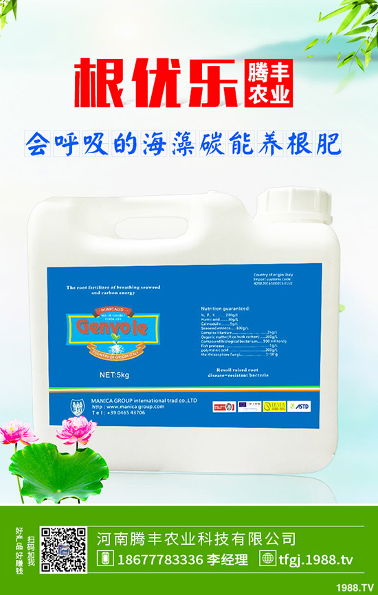 石榴褐斑病導(dǎo)致發(fā)黃落葉怎么辦？石榴褐斑病的防治要點！