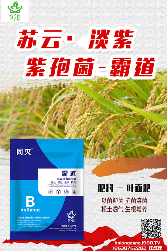 如何種植盆栽玫瑰，盆栽玫瑰的種植方法和注意事項！