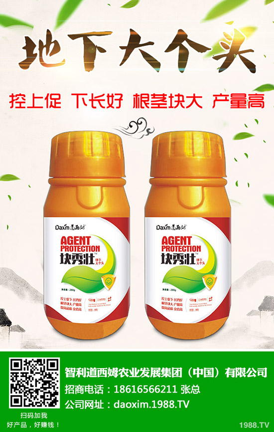 蘿卜得了炭疽病怎么辦？蘿卜炭疽病癥狀和防治方法！