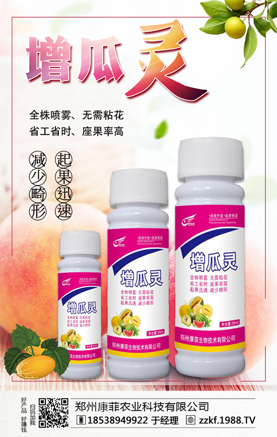 大棚南瓜怎么種植？大棚南瓜的種植中要點！