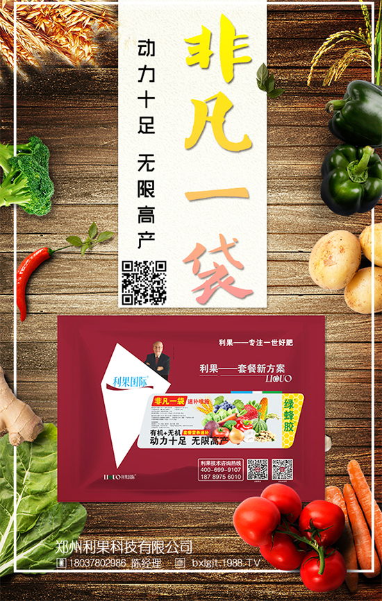 冬天大白菜如何儲(chǔ)存？冬季大白菜保鮮方法