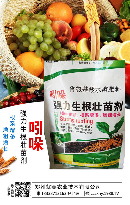 春芝麻種植時間是什么時候嗎？春芝麻種植管理技術(shù)！