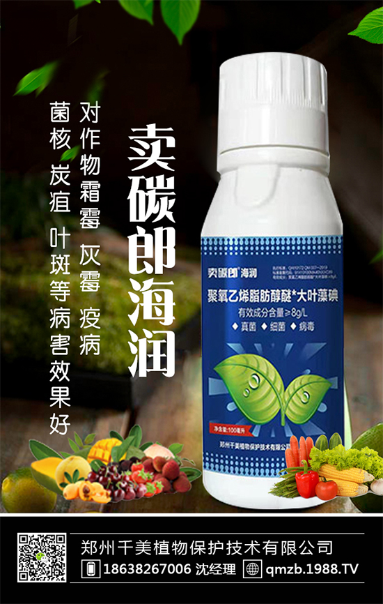 蘆筍什么季節(jié)種植？蘆筍常見病蟲害及防治！