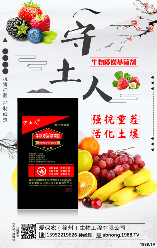 蘆筍對環(huán)境條件有什么要求？蘆筍的功效與作用！
