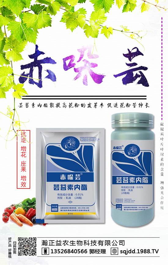 ���t����ʲô����������t��������ķ��η���