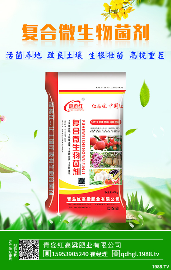 哪些地方適合種植白皮松？白皮松栽培技術(shù)管理