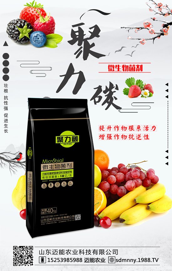 柿子各部位的營養(yǎng)價值，柿子保鮮的方法有哪些？