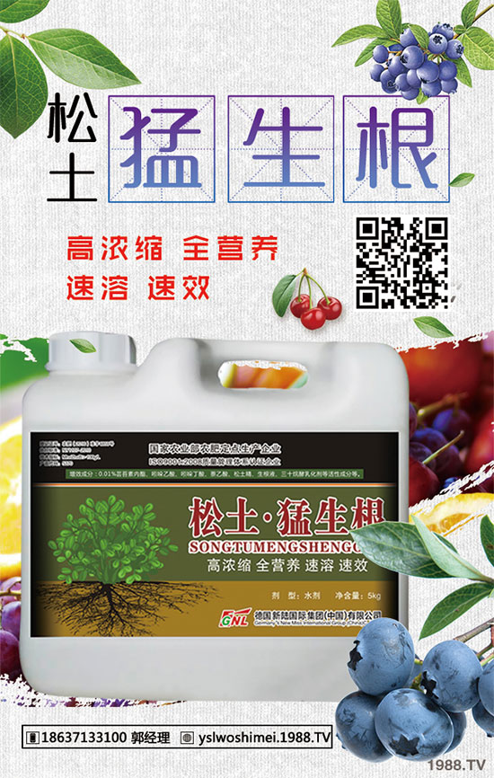 柿子有哪些功效和作用？柿子的食用禁忌！