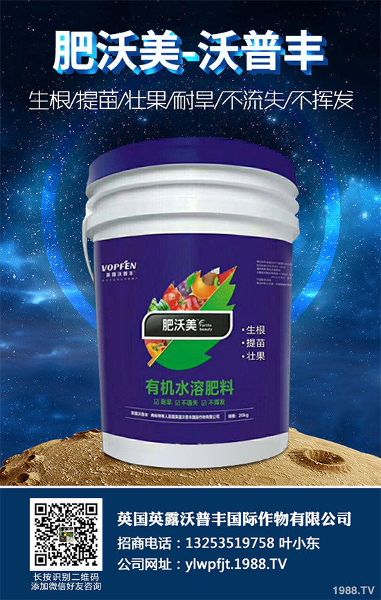 冬季能移植白皮松嗎？白皮松冬季移植攻略