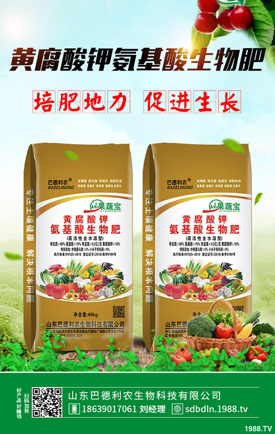     2020年棉花種植如何選購棉種？有什么好的品種推薦？