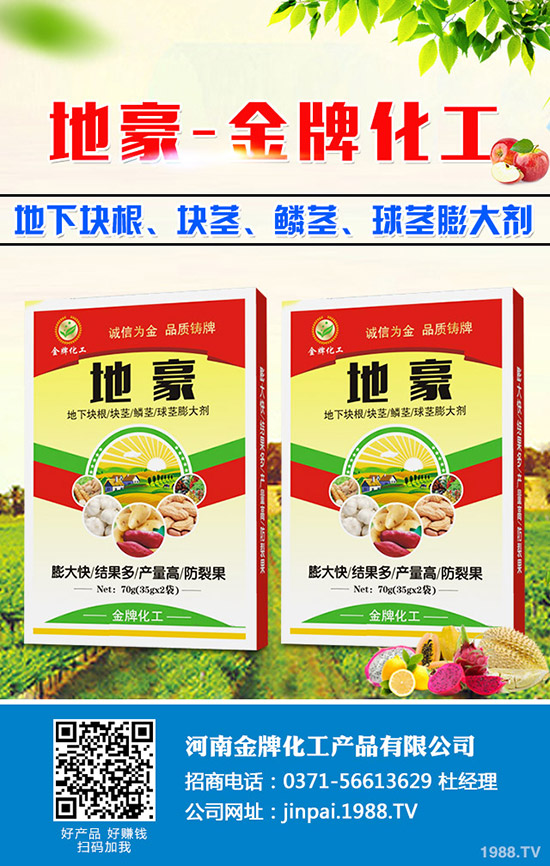 菠菜什么時候種更合適？菠菜種植技術(shù)和時間！