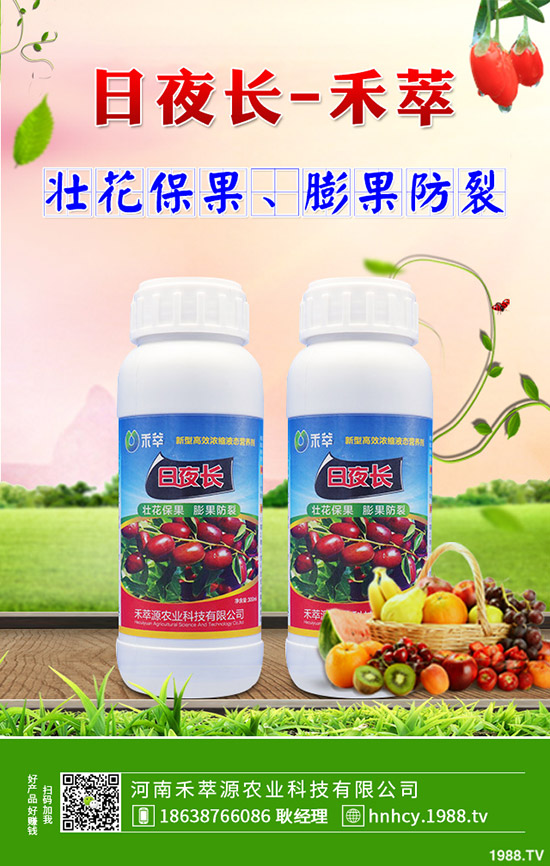 菠菜炭疽病的病因有哪些？菠菜炭疽病的防治要點(diǎn)！