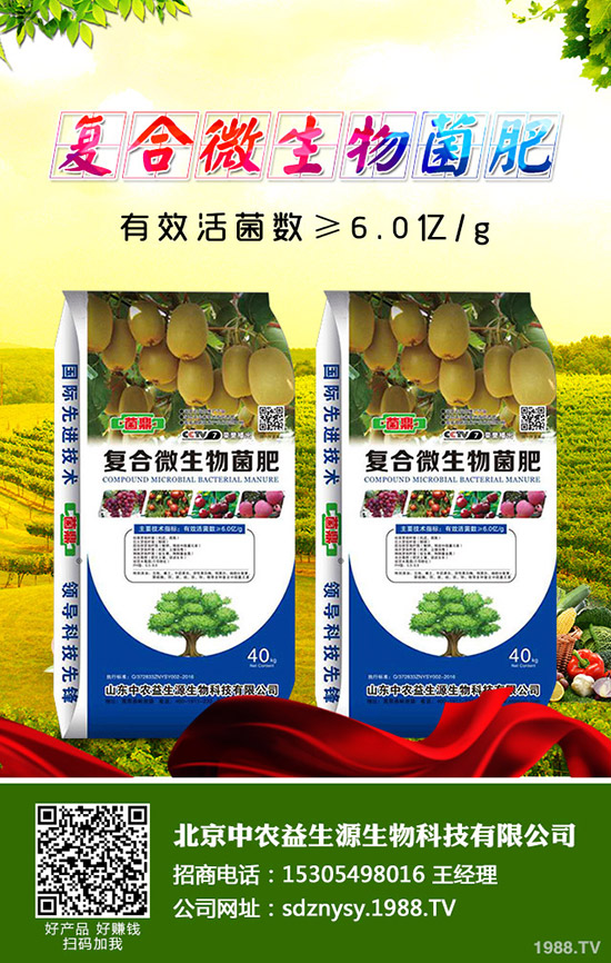     西蘭花什么時(shí)候種植，2020年西蘭花的種植前景如何？賺錢么？