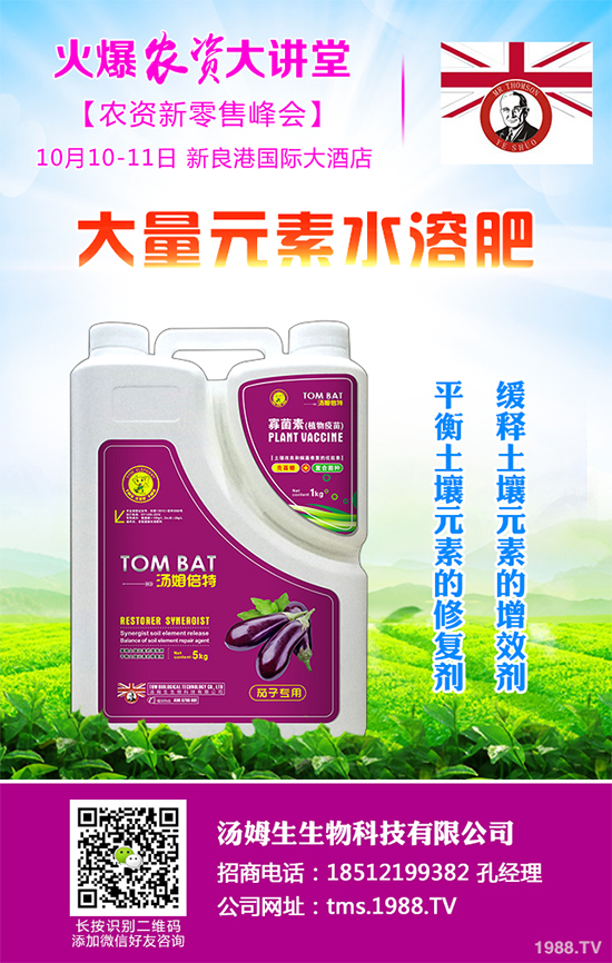     白皮松多少錢一棵呢？有哪些價值？