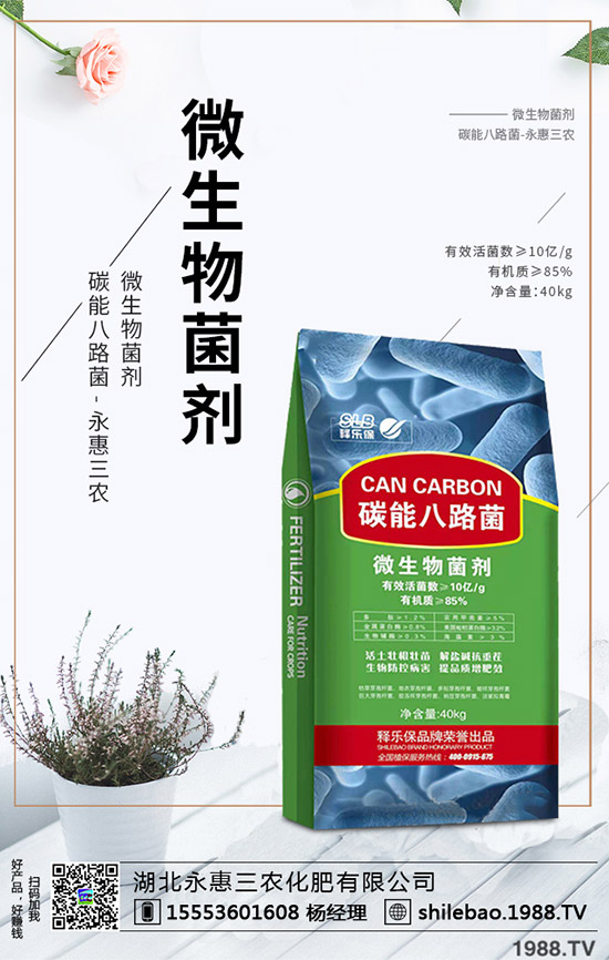     2020年野菜種植賺錢(qián)么？一畝能掙多少錢(qián)？種植效益如何？