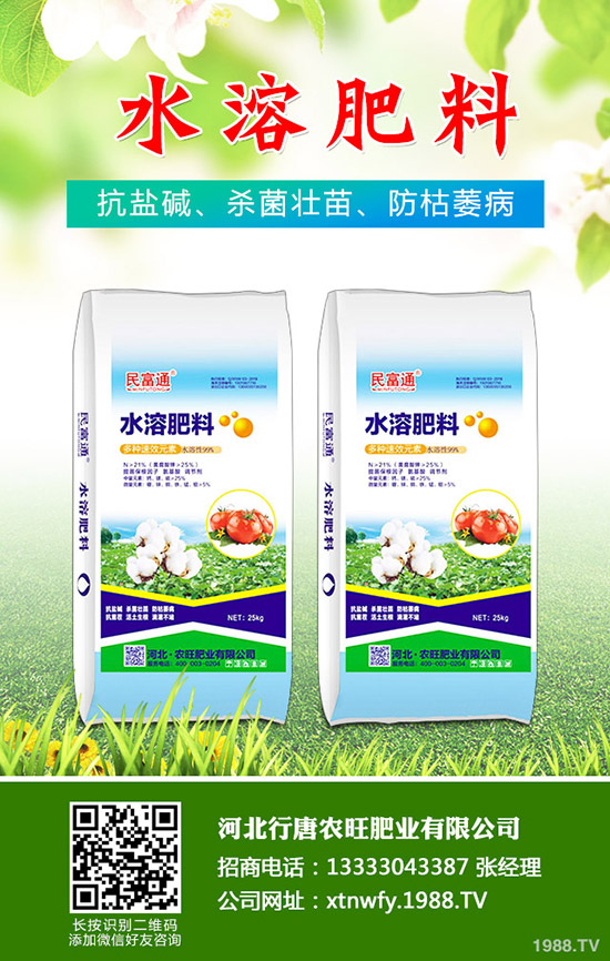 苦瓜得了白粉病怎么辦，苦瓜白粉病綜合防治