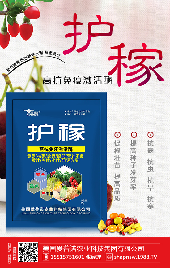 大蒜價格上漲原因有哪些？2020年大蒜價格行情預(yù)測！