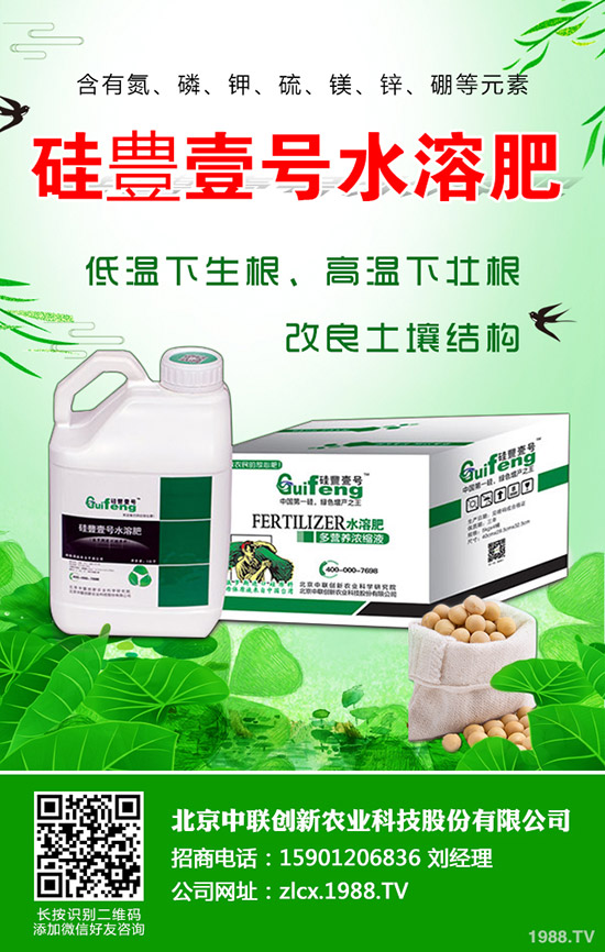 辣椒的種植要點(diǎn)有哪些，辣椒地膜覆蓋栽培技術(shù)！