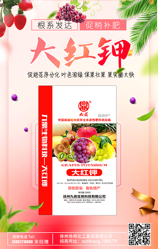 豆芽種植技術(shù)要點有哪些？豆芽有哪些功效作用？