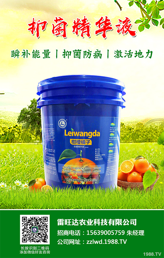 �L�ڵ͜ع��գ��߲��L�ݲ�ԓ��ν�Q�����������a(b��)��Ď�헴�ʩ