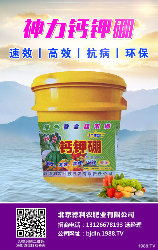 八月瓜種植前景如何，八月瓜種植要點(diǎn)！