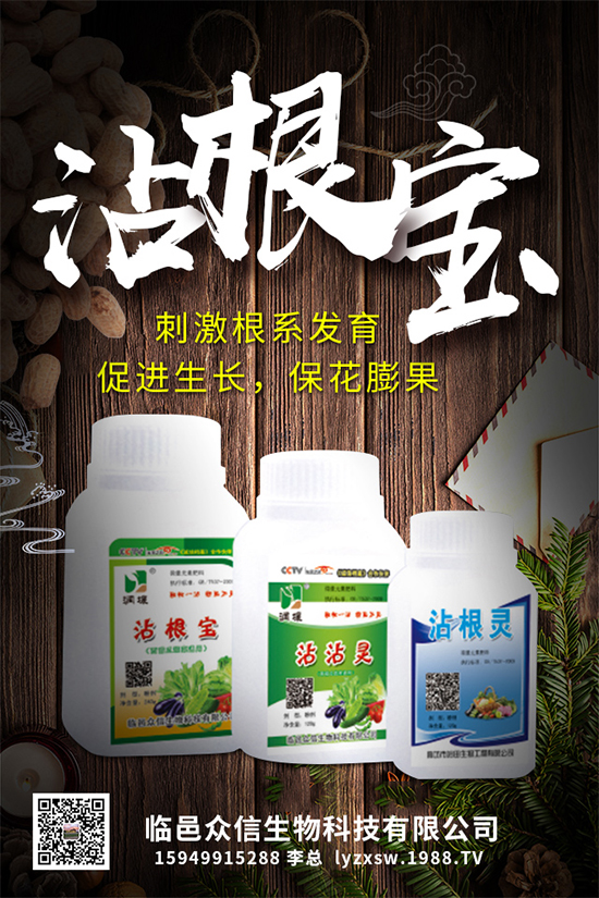 大棚種植黃瓜優(yōu)質(zhì)高產(chǎn)管理，肥料需要這樣施！