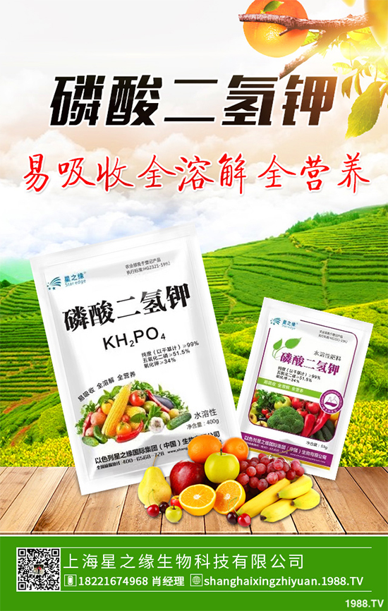 花椰菜花球出現(xiàn)異常是什么原因？該如何解決？快來看看吧！