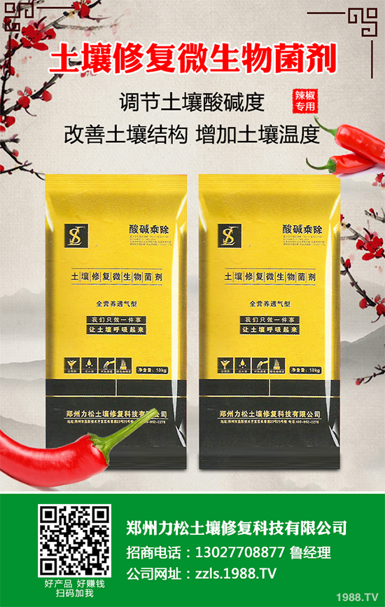 花椰菜軟腐病危害來襲，有沒有好的防治方法？快來看看吧！