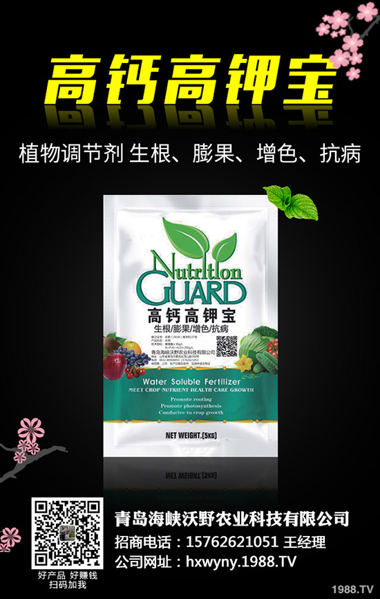 小麥田雜草什么時候防治更佳？小麥雜草解決方案！