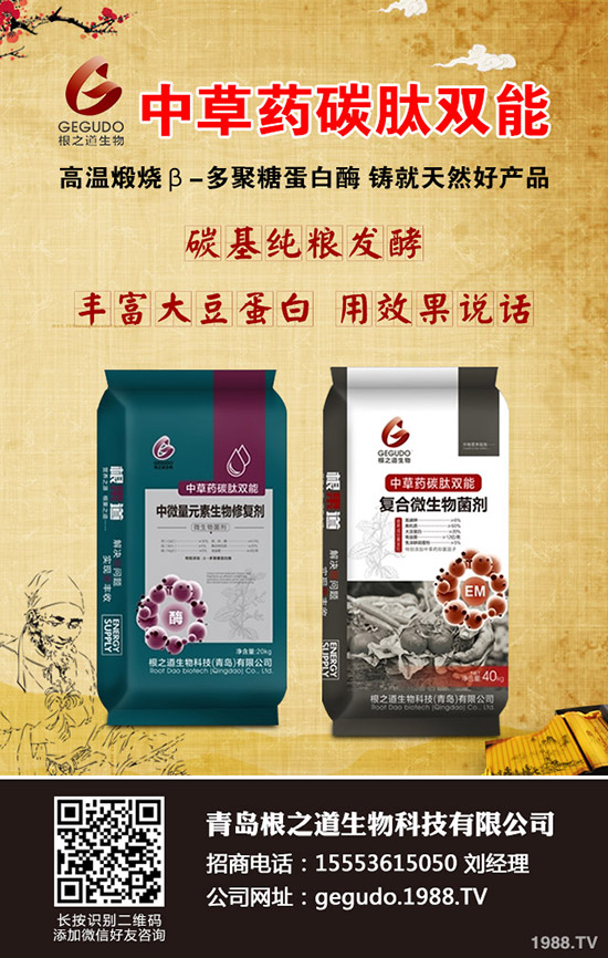 大麥播種您真的會嗎，大麥播種時間及技巧！