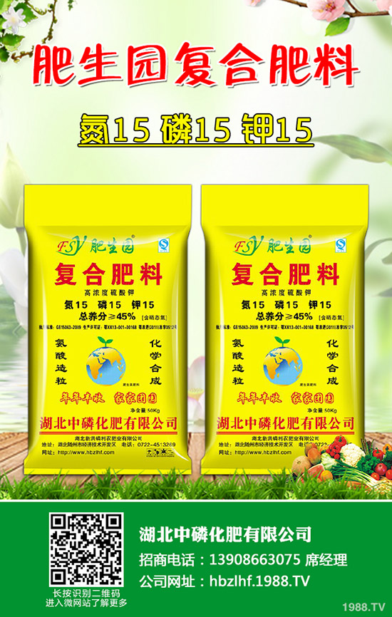     奶油草莓什么時間上市？一年可以結(jié)幾次果？主要產(chǎn)地在哪里？