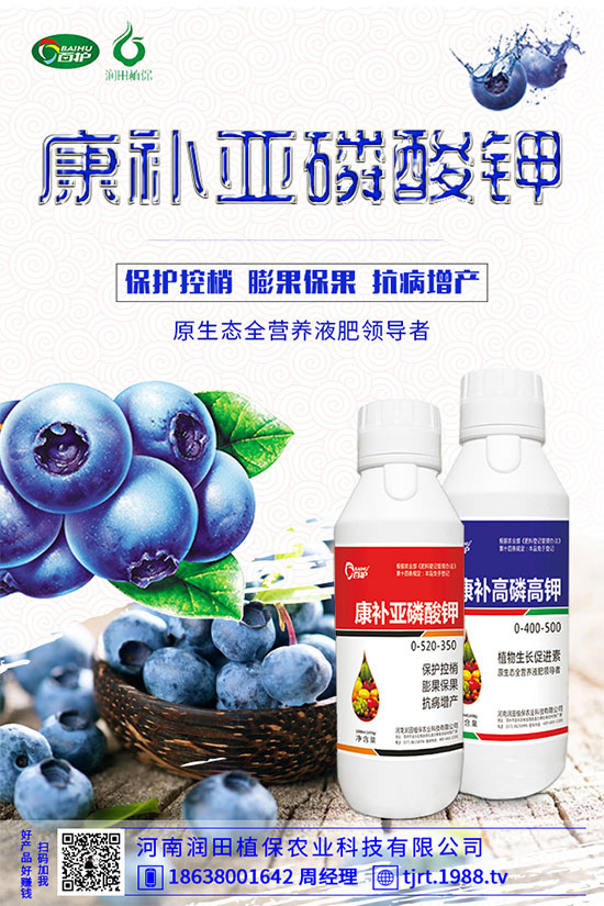 朝天椒什么播種？朝天椒的種植方法及病蟲(chóng)害防治