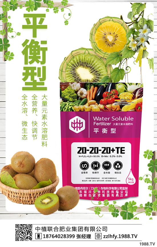 越冬蔬菜種植該注意什么？越冬蔬菜高產(chǎn)種植技術(shù)及注意事項(xiàng)