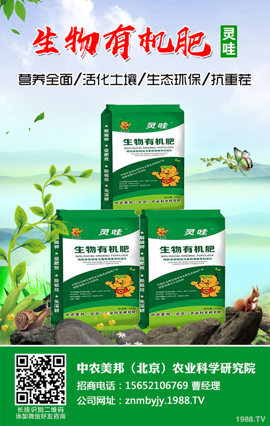 越冬蔬菜種植該注意什么？越冬蔬菜高產(chǎn)種植技術(shù)及注意事項(xiàng)
