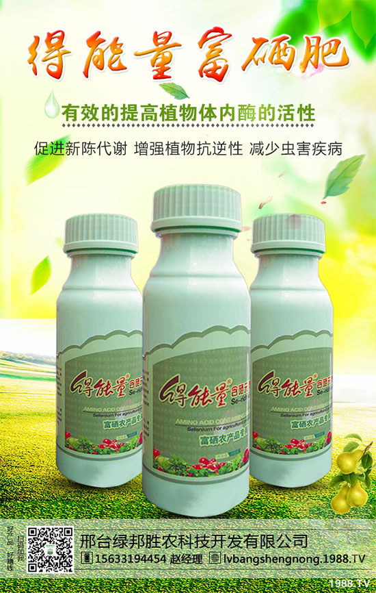 ���_�G���ٶȔy��1988.TV���_�ؾW(w��ng)�j(lu��)�����¾�����