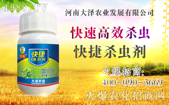 �������\�l(f��)չ�����ϴ���r(n��ng)�I(y��)�ٴκ��s1988.TV